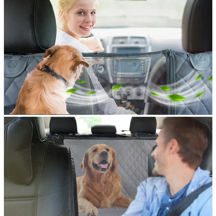 Safety cover for your dog