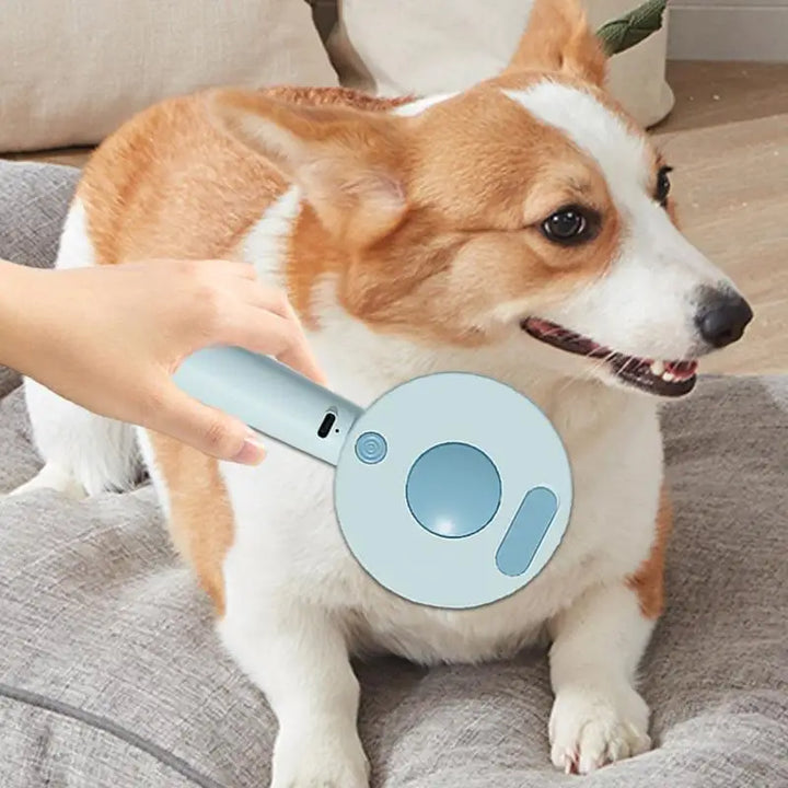 Pet brush