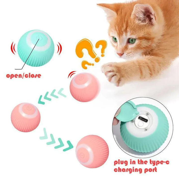 Fun ball for pets